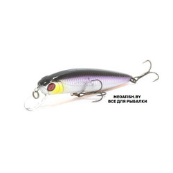 Pontoon21-Dexter-Minnow-93S-SR-A12