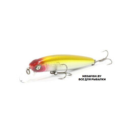Pontoon21-Dexter-Minnow-A15