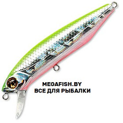 Pontoon21-Dexter-Minnow-93S-SR-A62