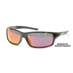 Select-FS2-SBB-RR
