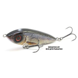 Abu-Garcia-McSnack-Real-Roach-Svartzonker
