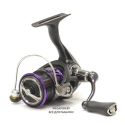 Daiwa-Prorex-X-LT-2000