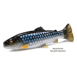 Savage-Gear-3D-Craft-Trout-Pulsetail-roach