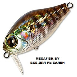Zipbaits-Craze-B-Switcher-Rattler-509R