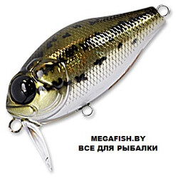 Zipbaits-Craze-B-Switcher-Rattler-521R