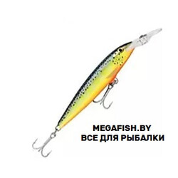 Rapala-Barra-Magnum-HS