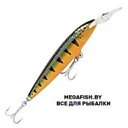 Rapala-Barra-Magnum-P