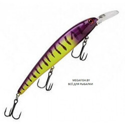 Bandit-Walleye-Shallow-B18