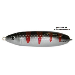 Rapala-Minnow-Spoon-07-FSBT