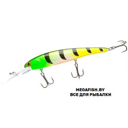 Bandit-Walleye-Shallow-B41