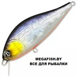 Pontoon21-Bet-A-Shad-75F-SR-A11