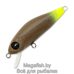 Pontoon21-CrackJack-48F-MR-R47
