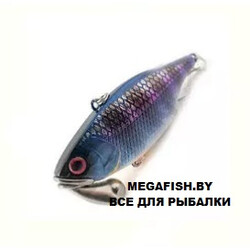 Jackall-TN70-Trigon-maruhata-keimura-gill