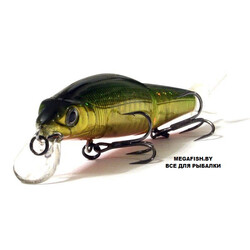 Tsuribito-Pike-Strike-88SP-036