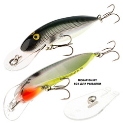 Akara-Deep-Winner-a103