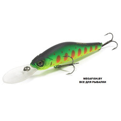 Vobler-Strike-Pro-Archback-80-A209S