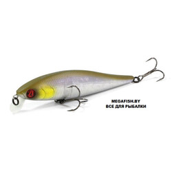 Pontoon21-Bet-A-Minnow-78SP-SR-A30