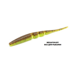crazy-fish-polaris-4D