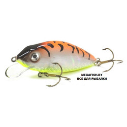 Chimera-Silver-Fox-Karas-Fat-70FL-007