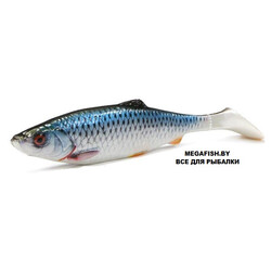 Savage-Gear-LB-4D-Herring-Shad-110-Roach