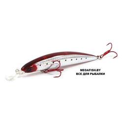 Daiwa-Shoreline-Shiner-Current-Master-11S-G-Burning
