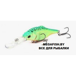 Kosadaka-Rat-XL-65F-HT