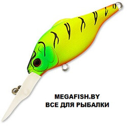 Kosadaka-Rat-XL-65F-TT