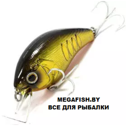 Deps-Korrigan-Magnum-250-01