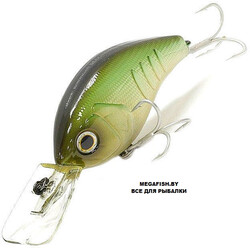 Deps-Korrigan-Magnum-250-05