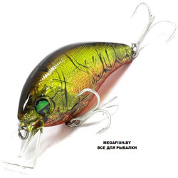 Deps-Korrigan-Magnum-250-43