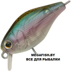 Cranky-X-40-500G