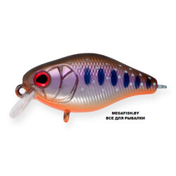 Strike-Pro-Cranky-X-40-A142-264