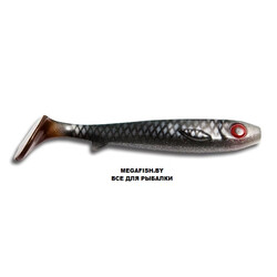 Kanalgratis-Flatnose-Shad-Real-Roach