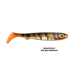 Kanalgratis-Flatnose-Shad-Transparent-Perch