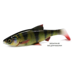 Savage-Gear-LB-4D-River-Roach-Perch