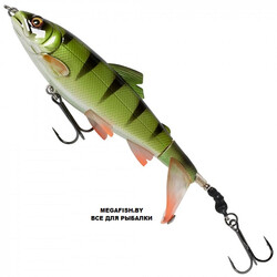 Savage-Gear-3D-SmashTail-100F-Perch