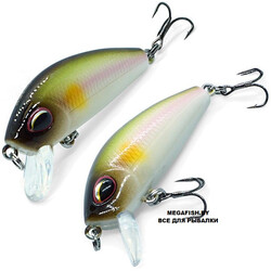 Kosadaka-L-Minnow-XS-45F-AY