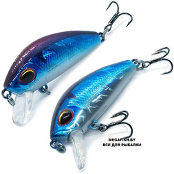 Kosadaka-L-Minnow-XS-45F-BLU
