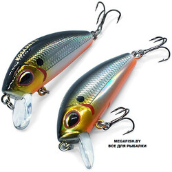 Kosadaka-L-Minnow-XS-45F-GT