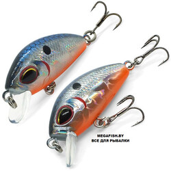 Kosadaka-L-Minnow-XS-33S-GTC