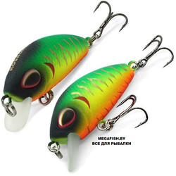 Kosadaka-L-Minnow-XS-33S-MHT