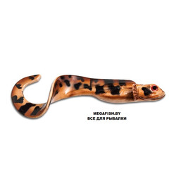 Kanalgratis-Nettel-Laken-Natural-Eelpout