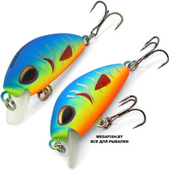Kosadaka-L-Minnow-XS-33S-REV