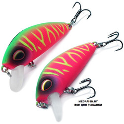 Kosadaka-L-Minnow-XS-45F-ROS
