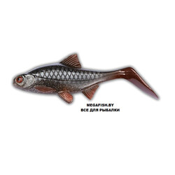 Kanalgratis-Hooligan-Roach-JR-Real-Roach