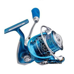 Favorite-Blue-Bird-NEW