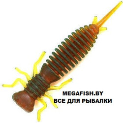 Fanatik-Larva-027