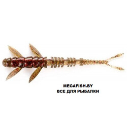 FishUp-Flit-045