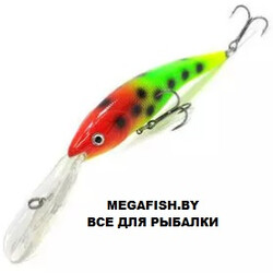 Hitfish-Balanar-100