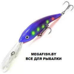 Hitfish-Balanar-101